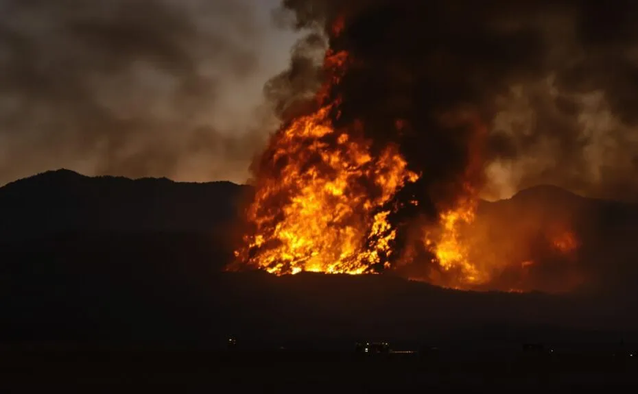 2024 fire country reviews